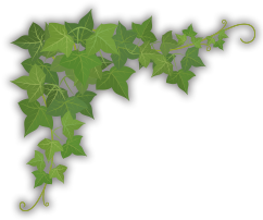 BarBershop Ducktail（ダックテール）｜千葉県香取市みずほ台にある理髪店