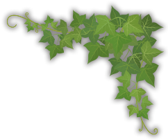 BarBershop Ducktail（ダックテール）｜千葉県香取市みずほ台にある理髪店